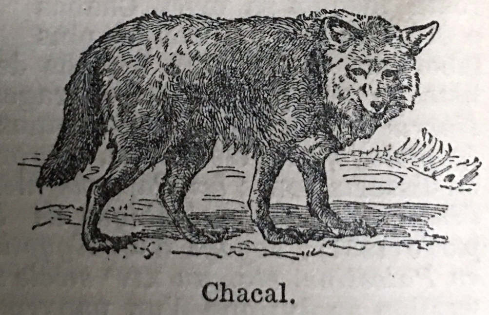 facebook et compagnie si c'est gratuit le produit c'est vous