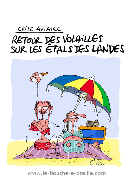 Retour des volailles dessin humour Olivero