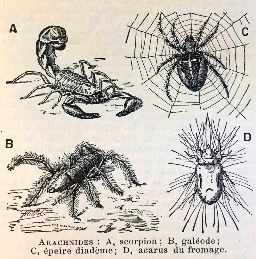 Obsession du prix hantise de la visibilité