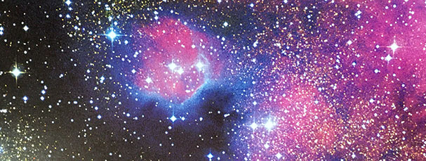 MICHELIN ET LES HOLDINGS